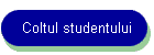 Coltul studentului
